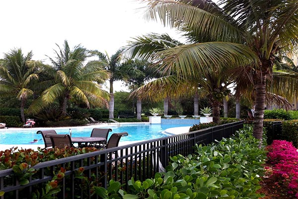 Pool landscaping designs provided by Nova L A Designs, Inc. - Naples, FL